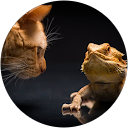 Tony Krup profile picture