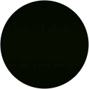 Alexis Everett profile picture